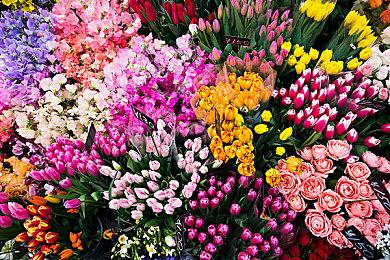 全员美少女 《蓝色反射：燦》发布第二弹概述预告PV