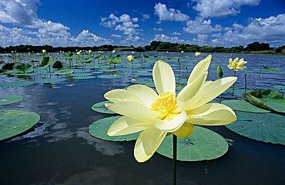 更新换代 《CS: GO》巴黎Major将成最后一场官方比赛